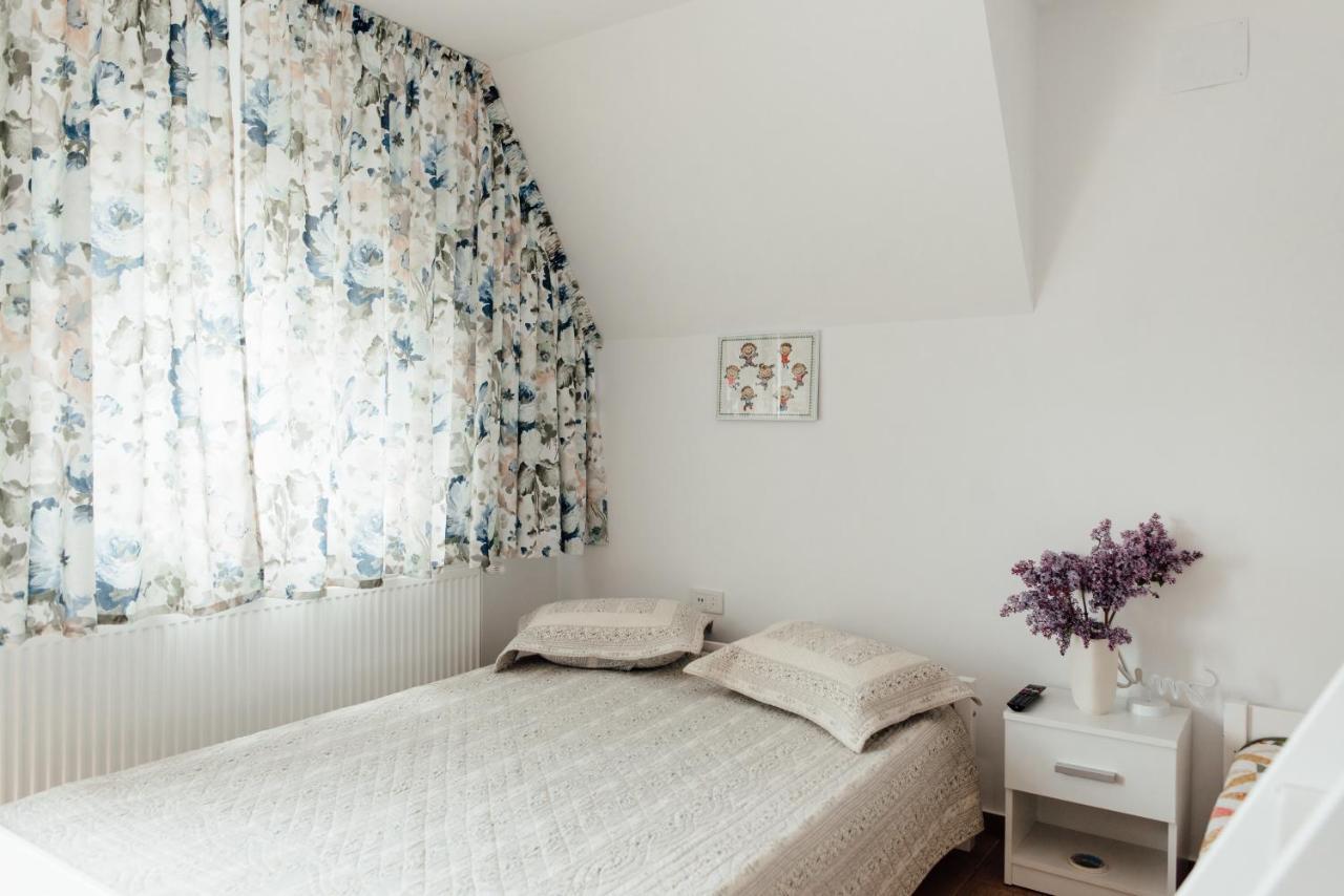 Autentic Adorabil Apartment Albestii Paminteni Ngoại thất bức ảnh