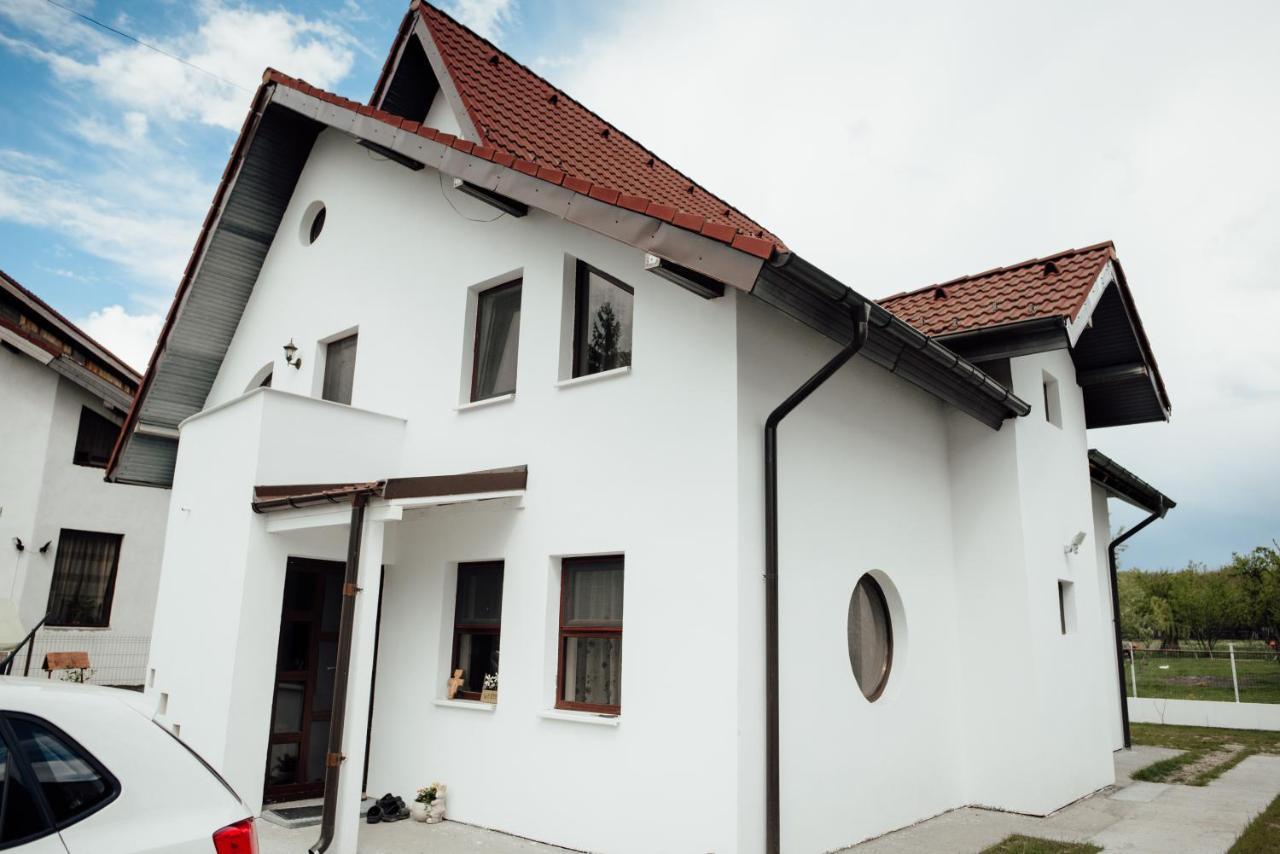 Autentic Adorabil Apartment Albestii Paminteni Ngoại thất bức ảnh