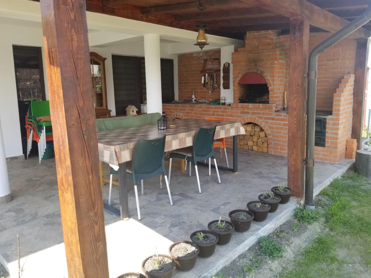 Autentic Adorabil Apartment Albestii Paminteni Ngoại thất bức ảnh
