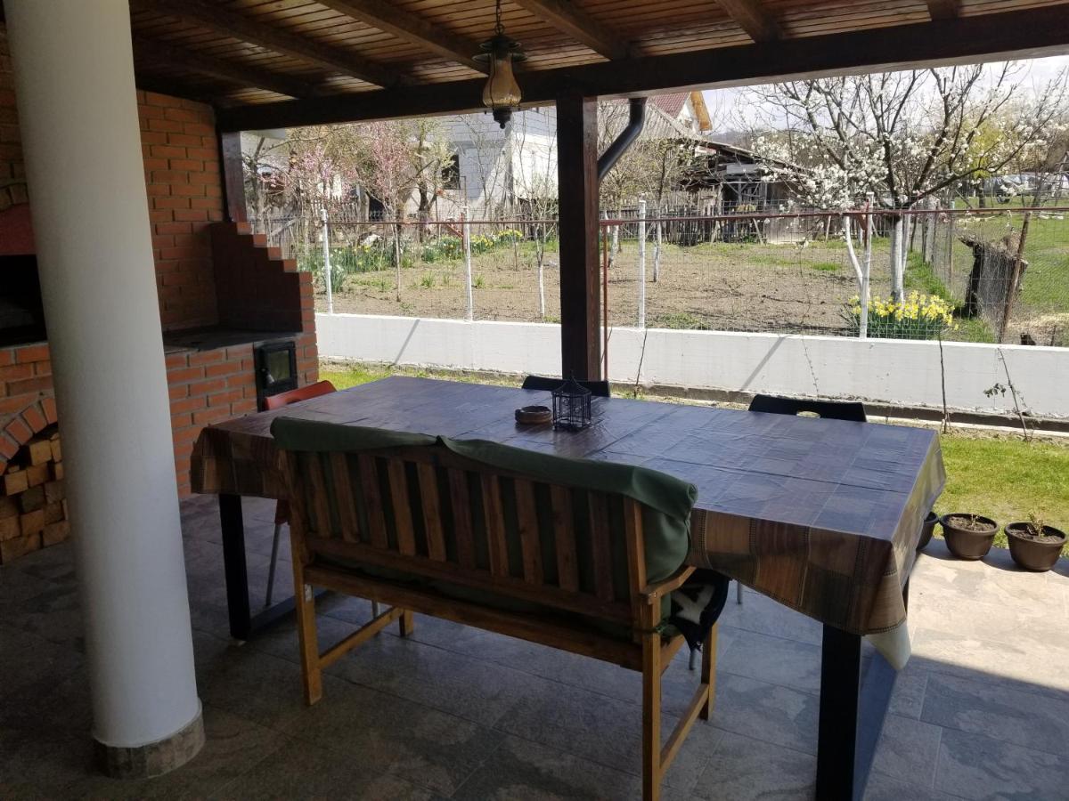 Autentic Adorabil Apartment Albestii Paminteni Ngoại thất bức ảnh