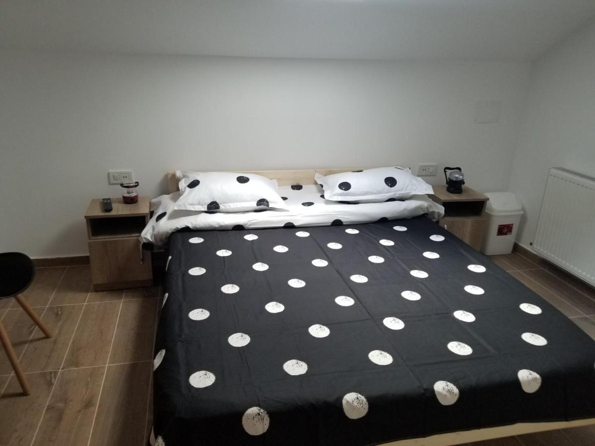 Autentic Adorabil Apartment Albestii Paminteni Ngoại thất bức ảnh