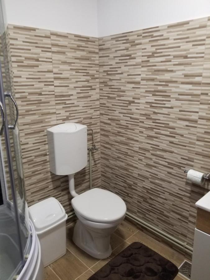 Autentic Adorabil Apartment Albestii Paminteni Ngoại thất bức ảnh